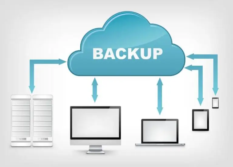 Cloud backup server diagram illustrating offsite data storage and IT recovery services.